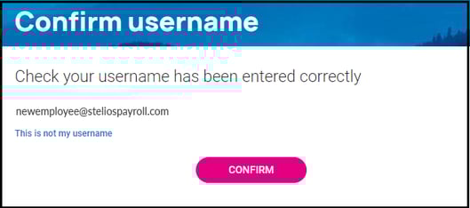 stelios_reset_password_004
